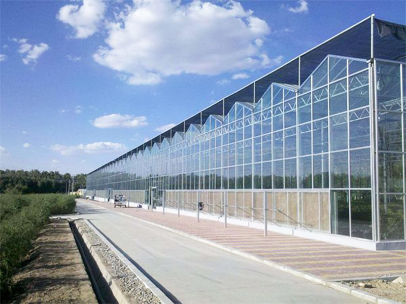 建設溫室大棚要點有哪些？